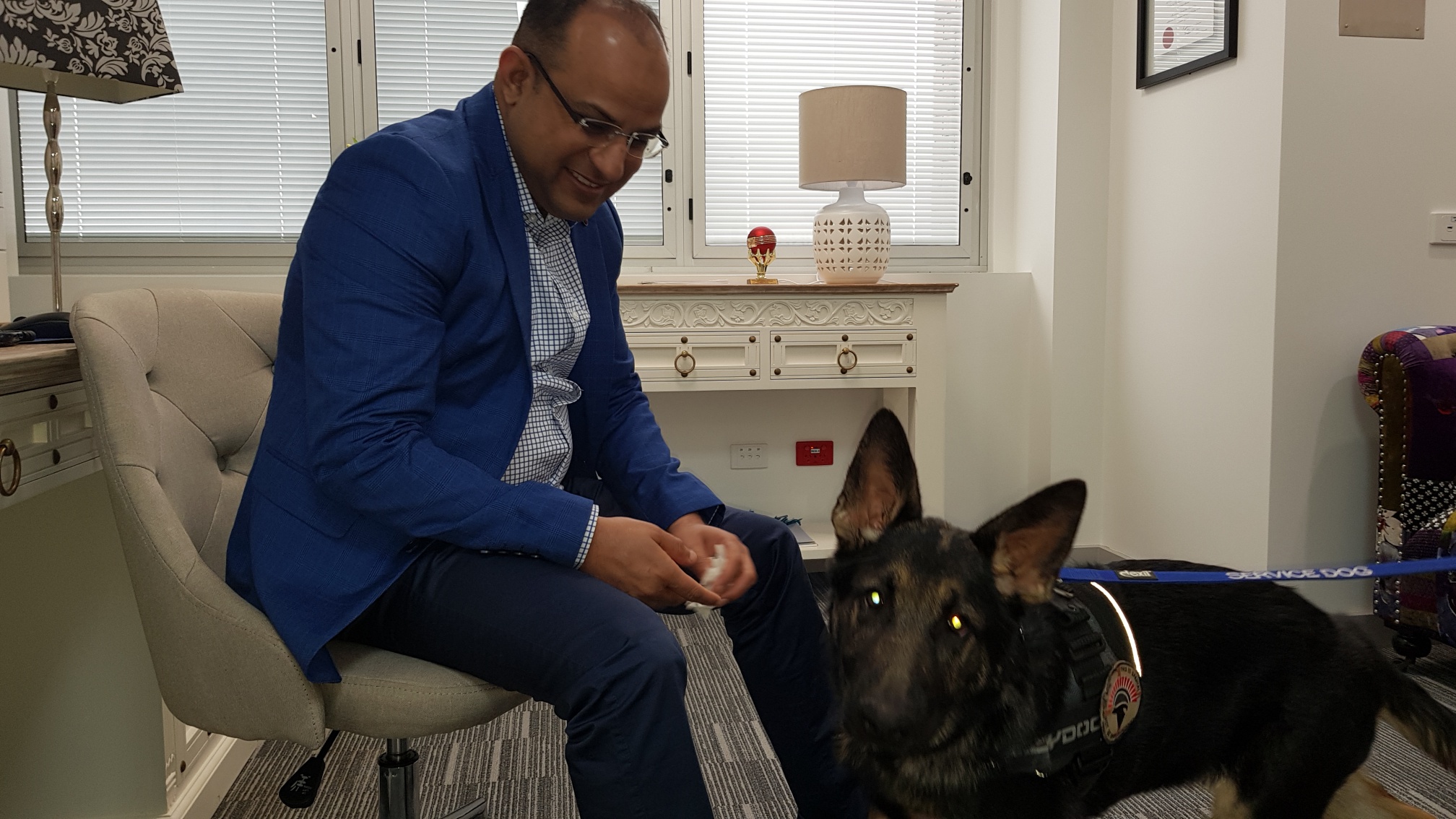 Therapy Dog - PTSD/Anxiety patient's aid